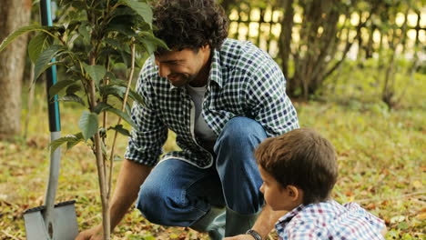 Closeup.-Portrait-of-a-little-boy-and-his-dad-planting-a-tree.-Dad-puts-the-soil-with-the-toyspade-into-the-toybucket.-They-talk-and-smile.-Blurred-background
